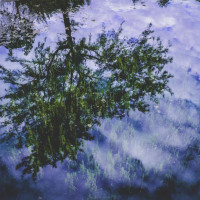ec2bf5215b4d7c7c9fe367019b43bbb7