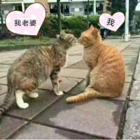 841ed073f5ae2a821b75e4546daad6ca
