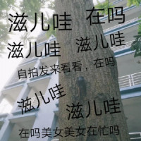 9656639be03619293d1550b64af9de66