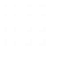 v2foicon