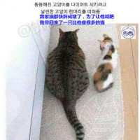 bea85a3103e6cda1e81b8085485afb69