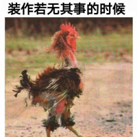 d683fb1223b284efe19c8c82a800444b