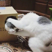 1514000053bcc93f49gy1fmpfznjin9j20f00etmxq