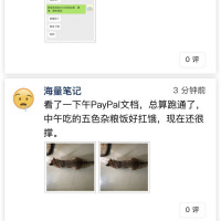 tmp_e88b0b25a4839352c5d557717b89586b