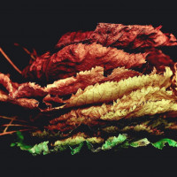 1b66ce6cc9d87142d47da2766f4cbd0e