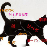 8476a0dc63cd550929cd4b73f0c8bcba