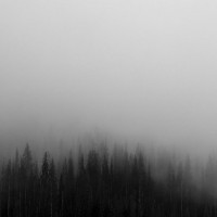 861cb349b72146ed481eeb8fdca077bc