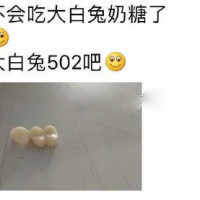 d8db7168cf25a88495670bb060c14070