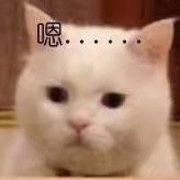 0f437ad21d84ae56c77f64daf2241e34